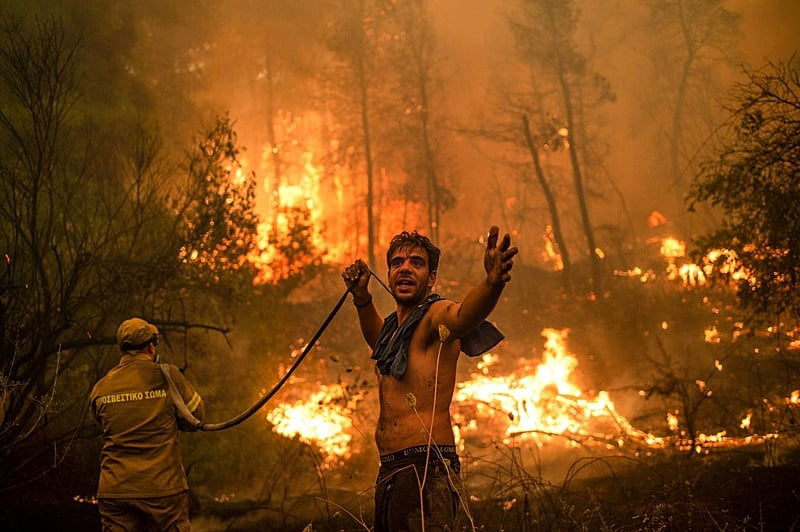 Incêndios florestais na América do Sul: um ciclo vicioso de destruição